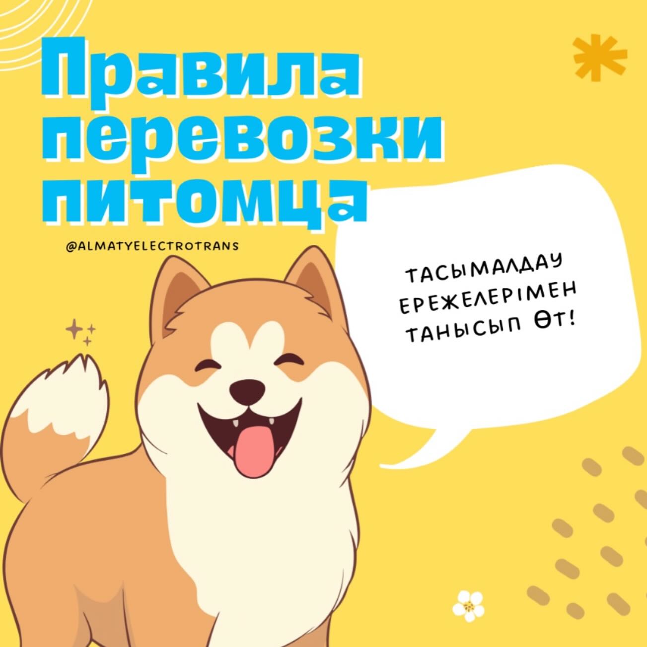 Біздің автобустарда ірі тұқымды иттерді тек сақтау ай�...